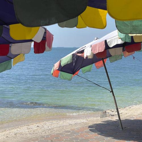 429812777 377751241718095 1006100169816021 n 0