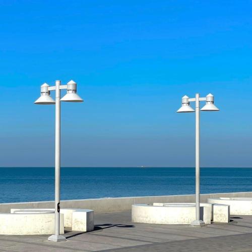 454890336 478403248319560 1452599406229264817 n 0