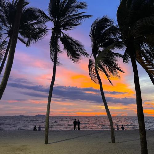 462220026 517775587715659 7780865637414877486 n 0